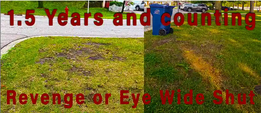 Split-view comparison of an aerated lawn with lush grass and deep roots versus a non-aerated lawn showing compacted soil, sparse grass, and poor drainage in a Northern Illinois setting