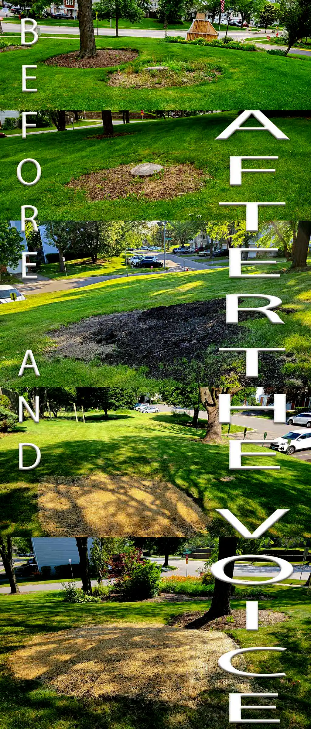 Sheffield Towne in Schaumburg, IL